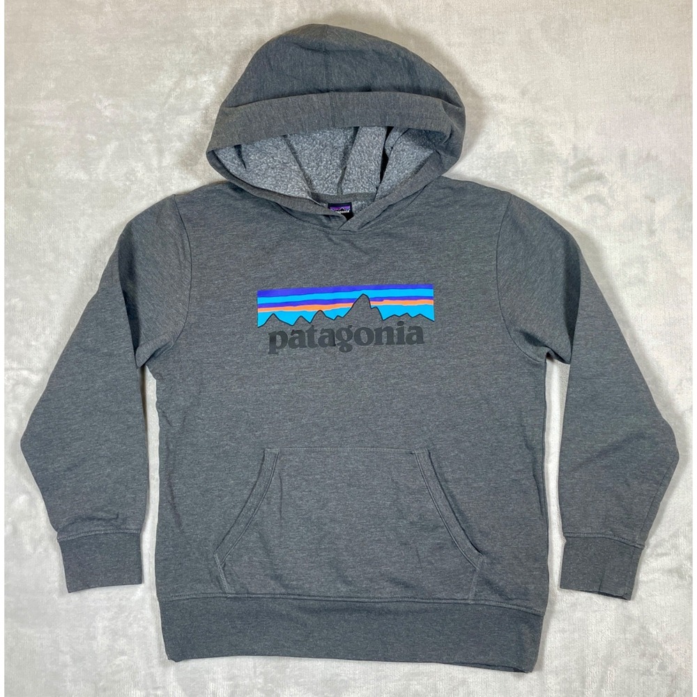 Patagonia Fitz Roy Horizon Hoodie Youth XL Gray Pullover Organic Cotton